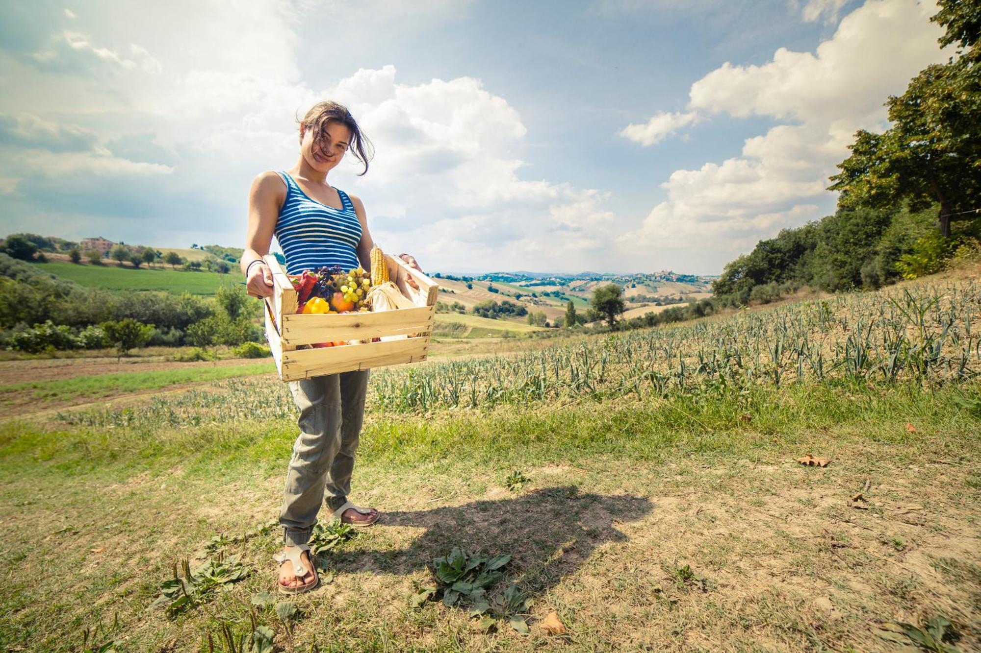 Agriturismo Fonte Carella Monte San Pietrangeli Екстериор снимка